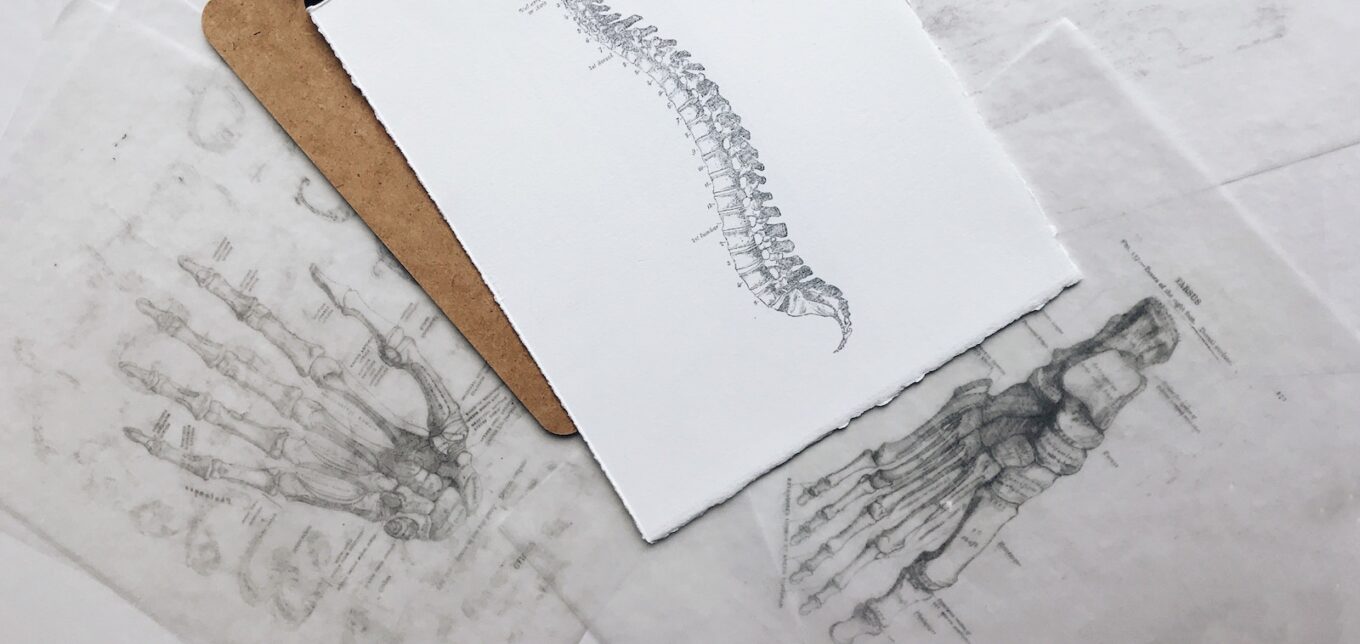 How To Heal Back Pain – Mother Earth News - Vimarsana News